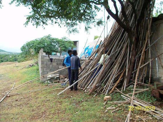 Selecting Bamboos