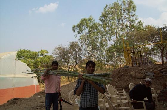 Students bringing freshly cut bamboo from the grove at Vigyan Ashram, Pabal